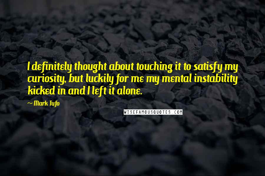 Mark Tufo Quotes: I definitely thought about touching it to satisfy my curiosity, but luckily for me my mental instability kicked in and I left it alone.