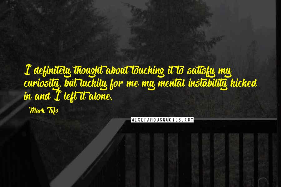 Mark Tufo Quotes: I definitely thought about touching it to satisfy my curiosity, but luckily for me my mental instability kicked in and I left it alone.