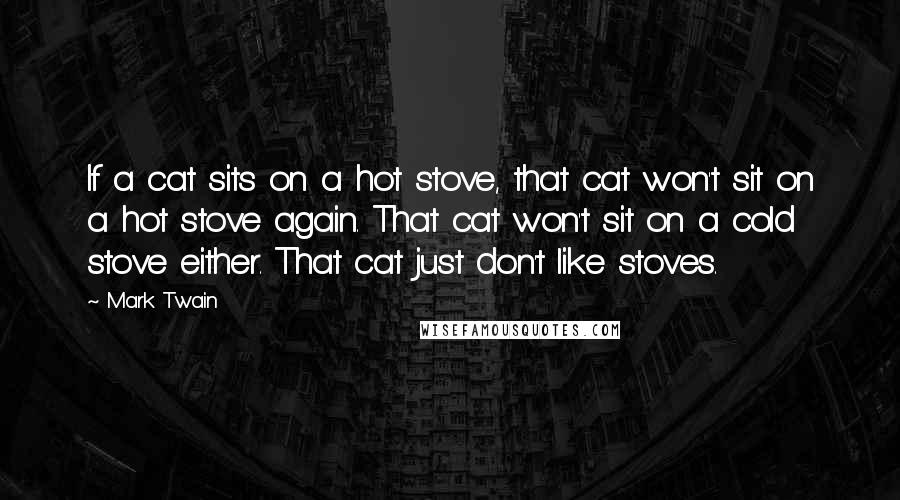 Mark Twain Quotes: If a cat sits on a hot stove, that cat won't sit on a hot stove again. That cat won't sit on a cold stove either. That cat just don't like stoves.