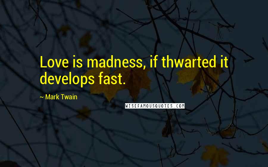 Mark Twain Quotes: Love is madness, if thwarted it develops fast.