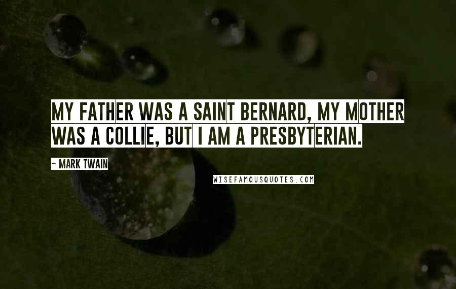 Mark Twain Quotes: My father was a Saint Bernard, my mother was a Collie, but I am a Presbyterian.