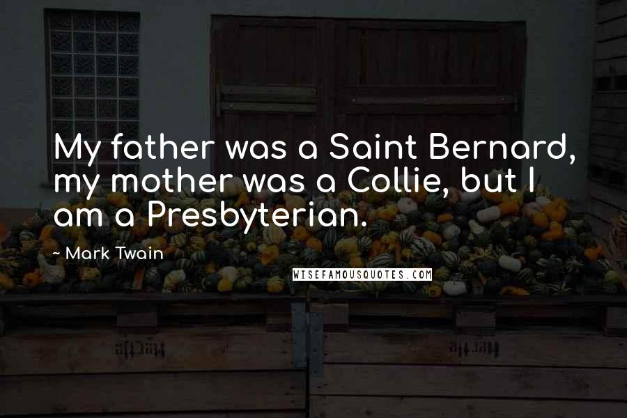 Mark Twain Quotes: My father was a Saint Bernard, my mother was a Collie, but I am a Presbyterian.