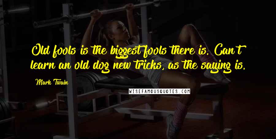 Mark Twain Quotes: Old fools is the biggest fools there is. Can't learn an old dog new tricks, as the saying is.