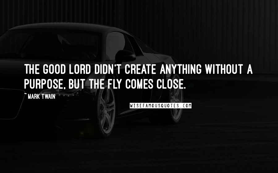 Mark Twain Quotes: The good Lord didn't create anything without a purpose, but the fly comes close.