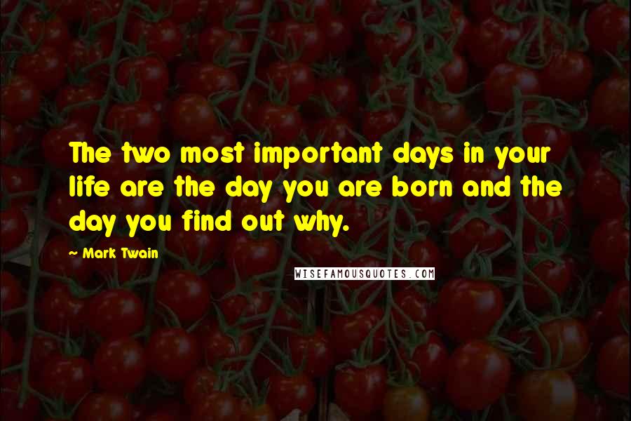 Mark Twain Quotes: The two most important days in your life are the day you are born and the day you find out why.