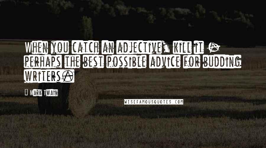 Mark Twain Quotes: When you catch an adjective, kill it - perhaps the best possible advice for budding writers.