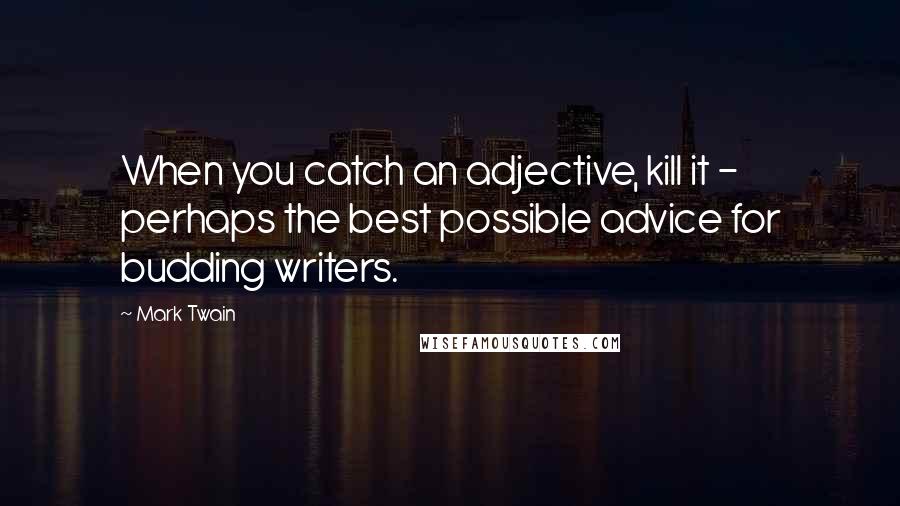 Mark Twain Quotes: When you catch an adjective, kill it - perhaps the best possible advice for budding writers.