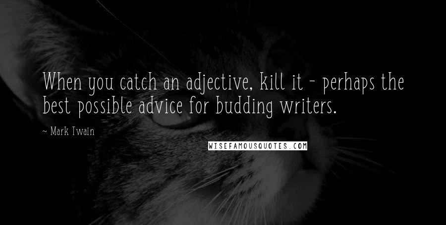 Mark Twain Quotes: When you catch an adjective, kill it - perhaps the best possible advice for budding writers.