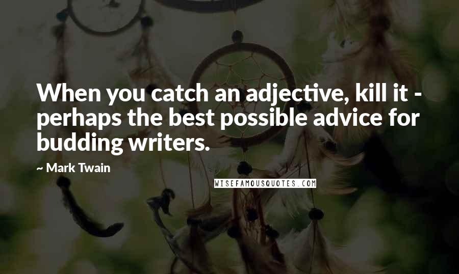 Mark Twain Quotes: When you catch an adjective, kill it - perhaps the best possible advice for budding writers.