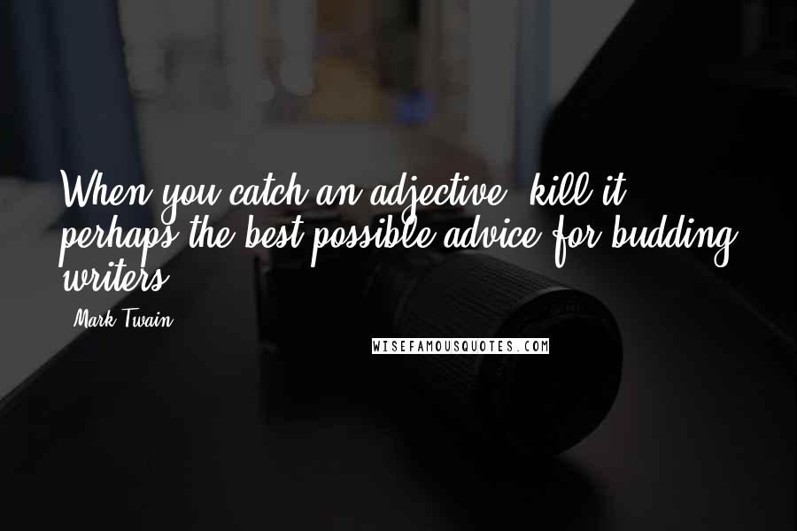 Mark Twain Quotes: When you catch an adjective, kill it - perhaps the best possible advice for budding writers.