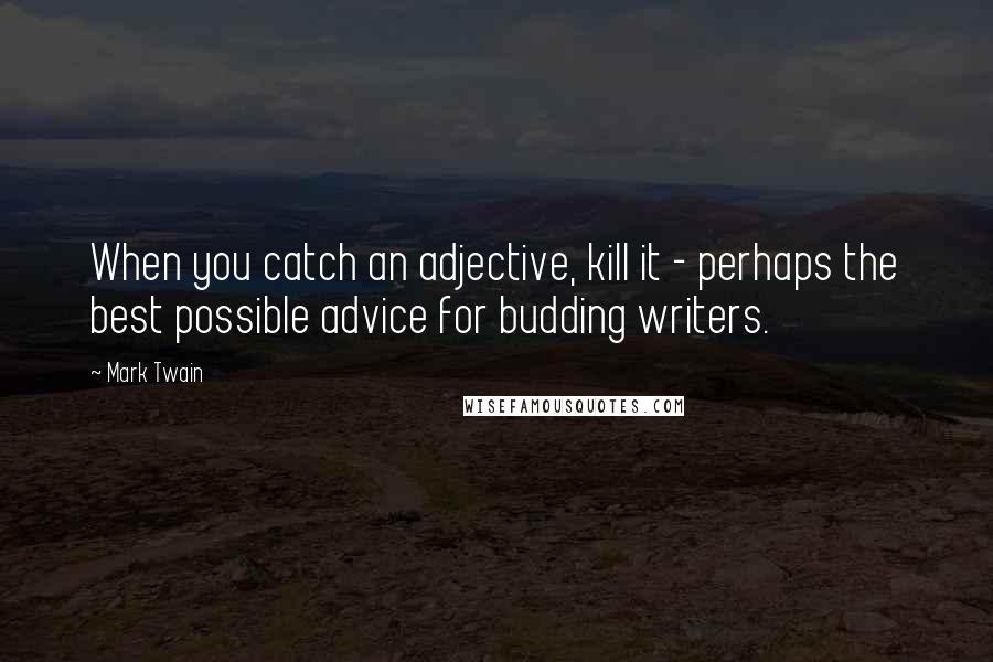 Mark Twain Quotes: When you catch an adjective, kill it - perhaps the best possible advice for budding writers.