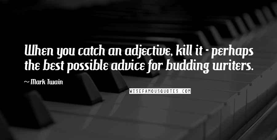 Mark Twain Quotes: When you catch an adjective, kill it - perhaps the best possible advice for budding writers.