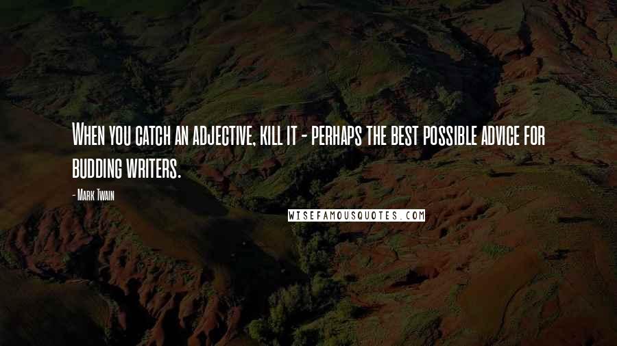 Mark Twain Quotes: When you catch an adjective, kill it - perhaps the best possible advice for budding writers.