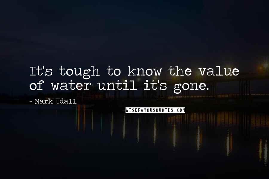 Mark Udall Quotes: It's tough to know the value of water until it's gone.