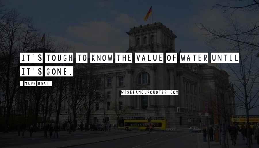 Mark Udall Quotes: It's tough to know the value of water until it's gone.