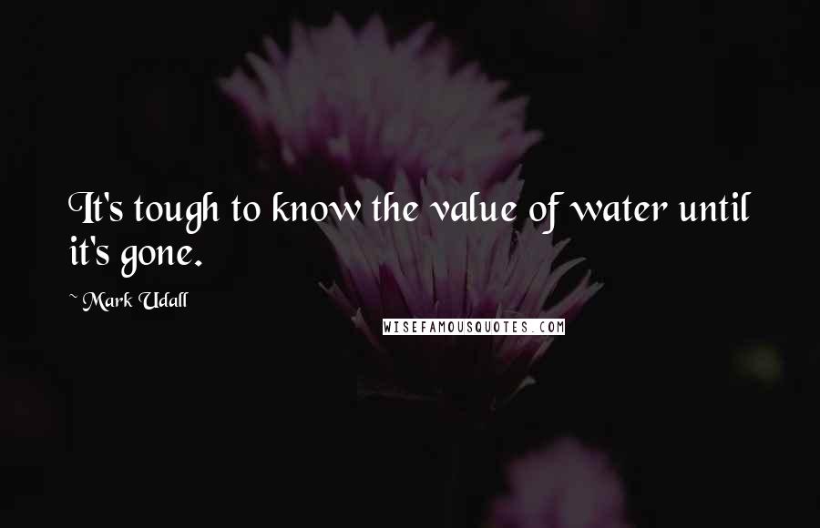 Mark Udall Quotes: It's tough to know the value of water until it's gone.