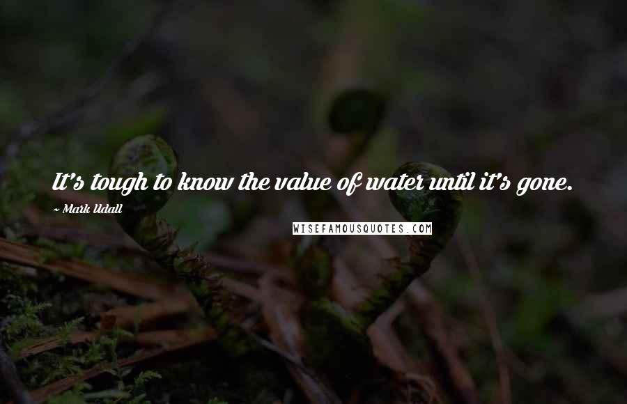 Mark Udall Quotes: It's tough to know the value of water until it's gone.