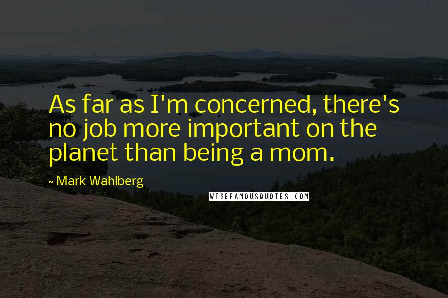 Mark Wahlberg Quotes: As far as I'm concerned, there's no job more important on the planet than being a mom.