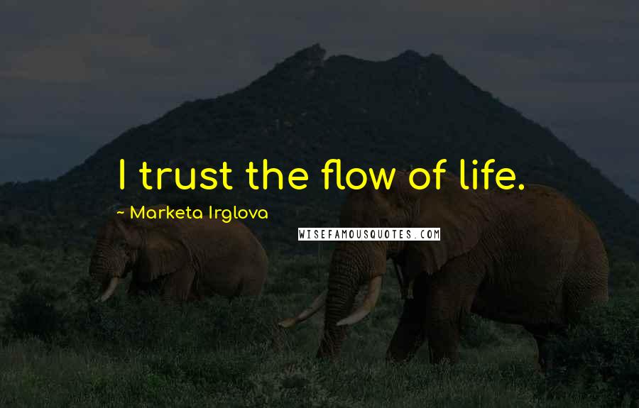Marketa Irglova Quotes: I trust the flow of life.