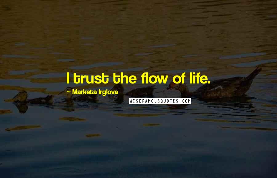 Marketa Irglova Quotes: I trust the flow of life.