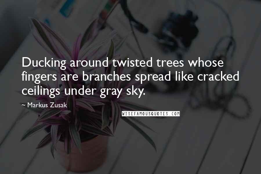 Markus Zusak Quotes: Ducking around twisted trees whose fingers are branches spread like cracked ceilings under gray sky.