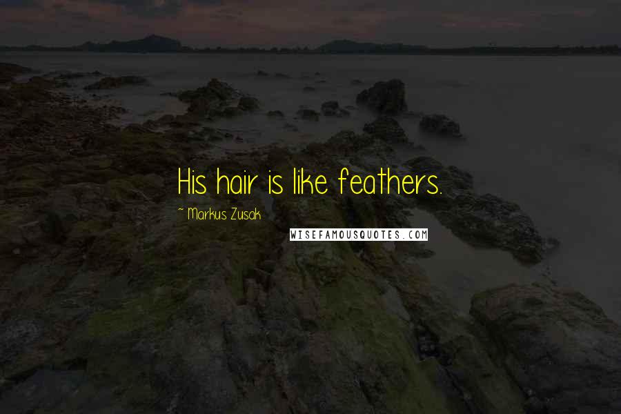 Markus Zusak Quotes: His hair is like feathers.