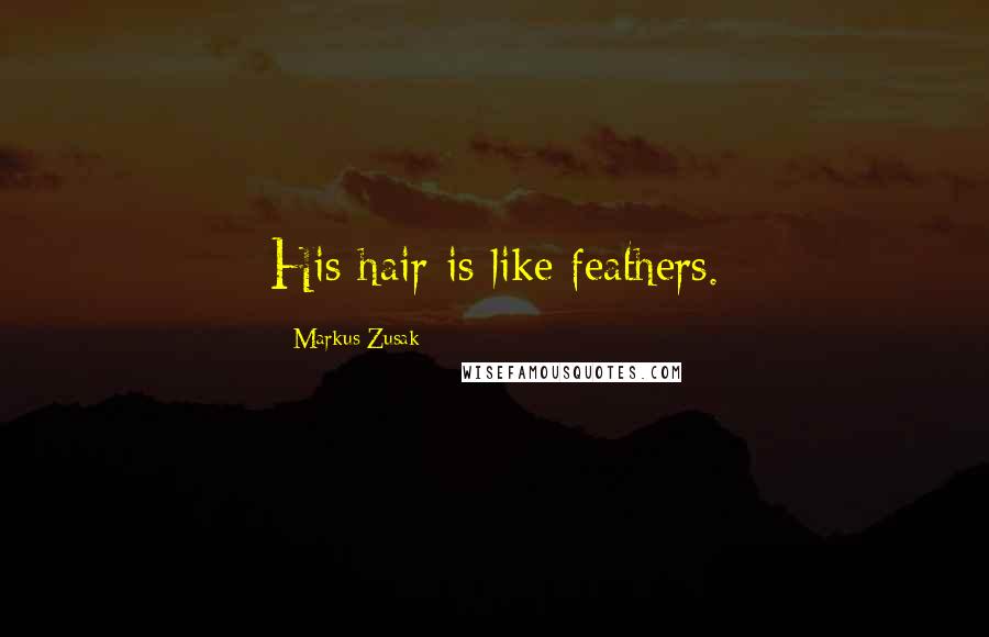 Markus Zusak Quotes: His hair is like feathers.