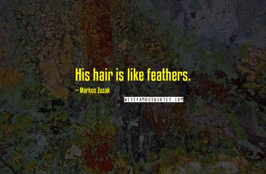 Markus Zusak Quotes: His hair is like feathers.