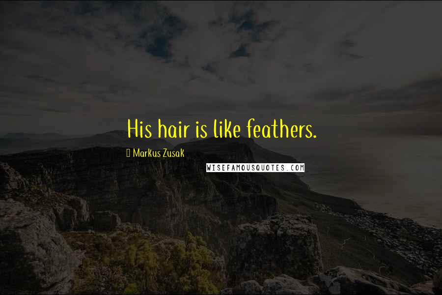 Markus Zusak Quotes: His hair is like feathers.