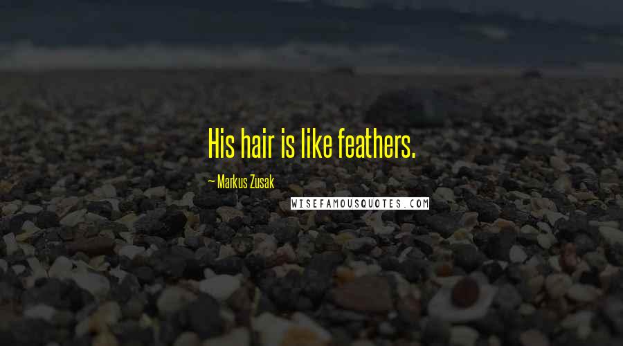 Markus Zusak Quotes: His hair is like feathers.