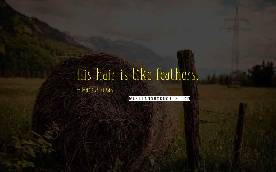 Markus Zusak Quotes: His hair is like feathers.