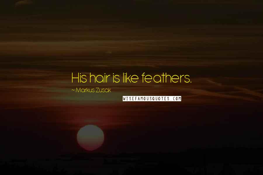 Markus Zusak Quotes: His hair is like feathers.