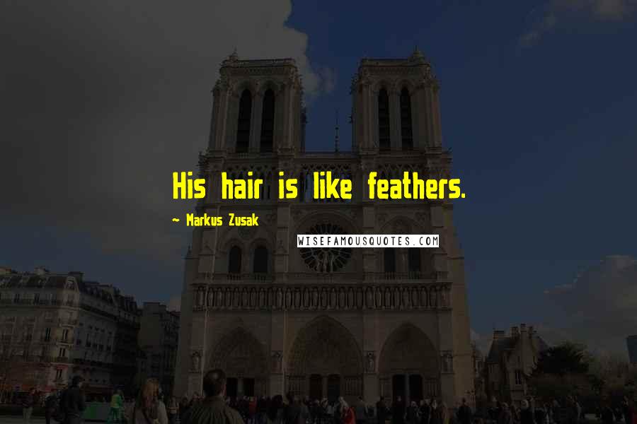 Markus Zusak Quotes: His hair is like feathers.