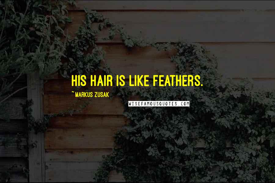 Markus Zusak Quotes: His hair is like feathers.