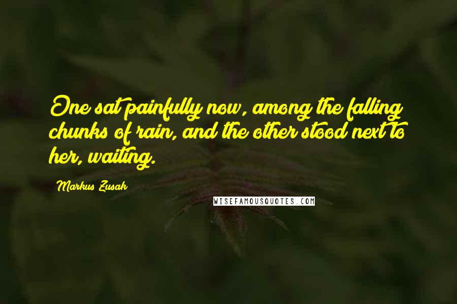 Markus Zusak Quotes: One sat painfully now, among the falling chunks of rain, and the other stood next to her, waiting.