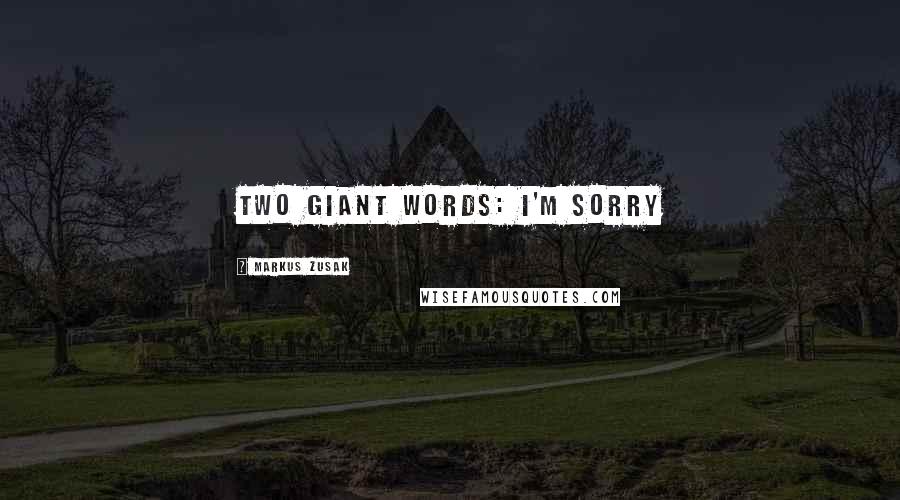 Markus Zusak Quotes: Two Giant Words: I'm Sorry