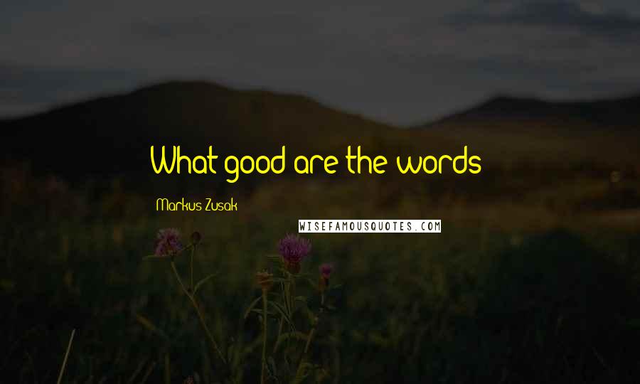 Markus Zusak Quotes: What good are the words?