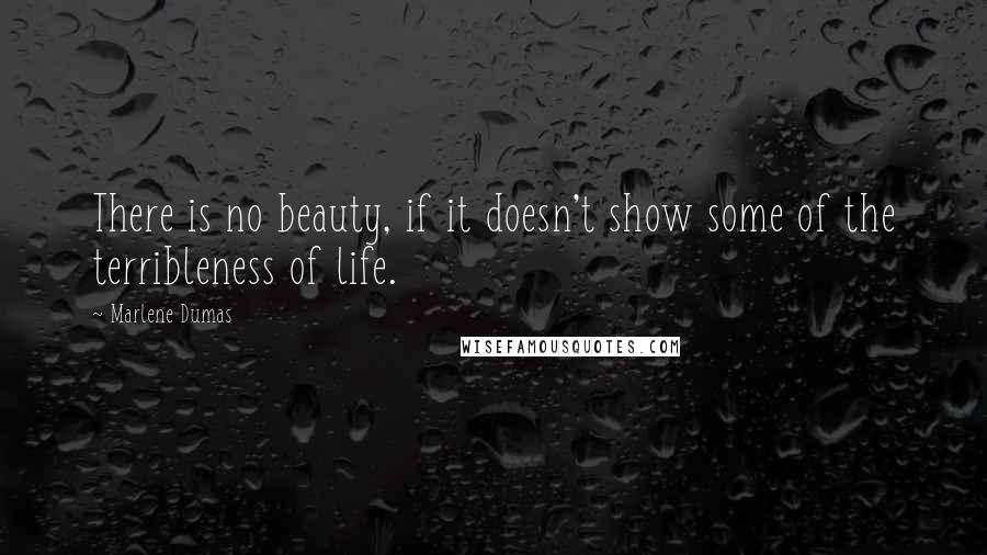 Marlene Dumas Quotes: There is no beauty, if it doesn't show some of the terribleness of life.