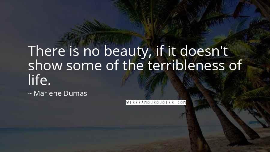 Marlene Dumas Quotes: There is no beauty, if it doesn't show some of the terribleness of life.