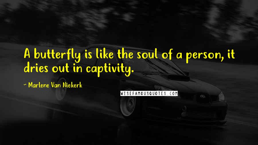 Marlene Van Niekerk Quotes: A butterfly is like the soul of a person, it dries out in captivity.