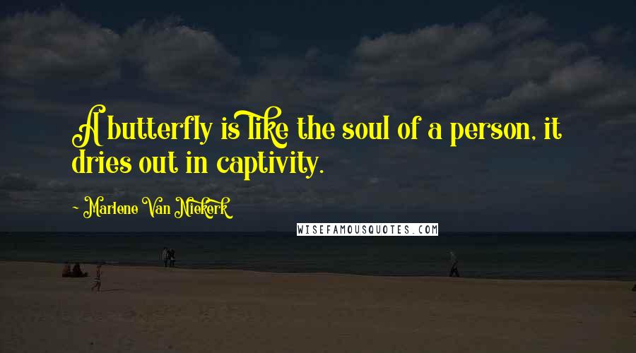 Marlene Van Niekerk Quotes: A butterfly is like the soul of a person, it dries out in captivity.