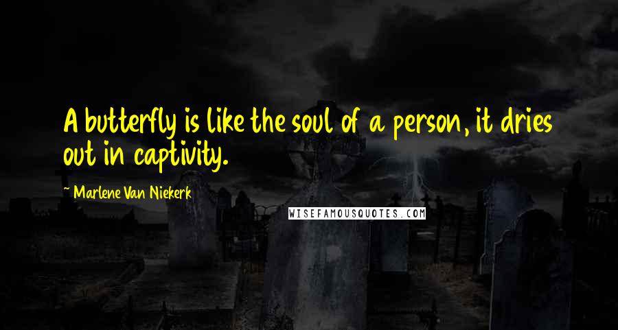 Marlene Van Niekerk Quotes: A butterfly is like the soul of a person, it dries out in captivity.