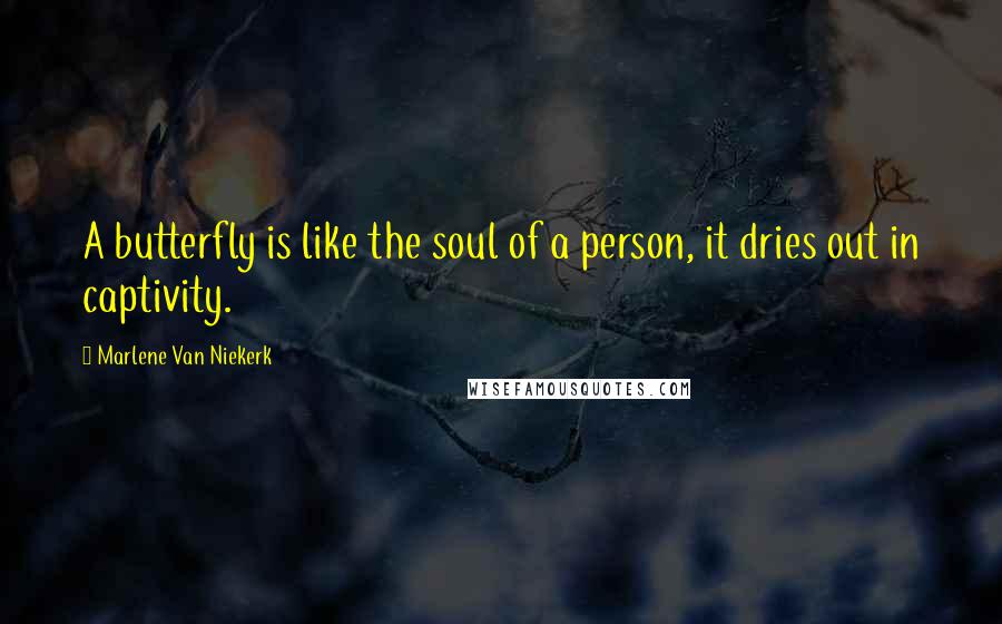 Marlene Van Niekerk Quotes: A butterfly is like the soul of a person, it dries out in captivity.