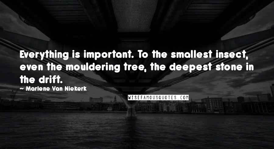 Marlene Van Niekerk Quotes: Everything is important. To the smallest insect, even the mouldering tree, the deepest stone in the drift.