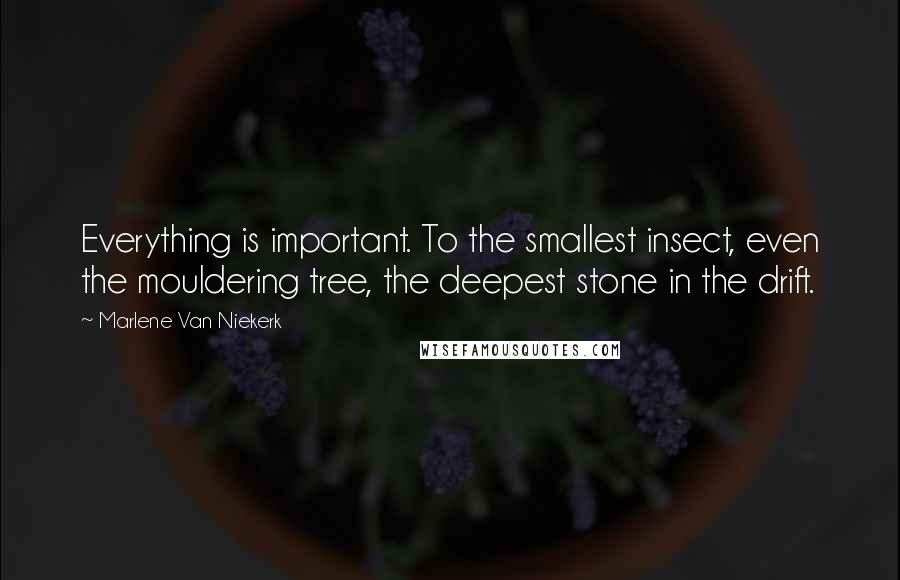 Marlene Van Niekerk Quotes: Everything is important. To the smallest insect, even the mouldering tree, the deepest stone in the drift.