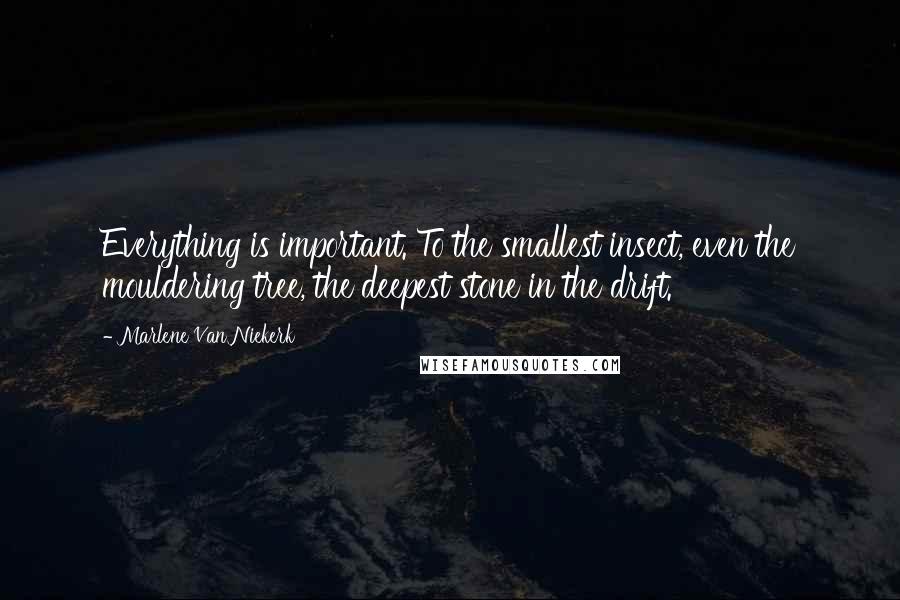 Marlene Van Niekerk Quotes: Everything is important. To the smallest insect, even the mouldering tree, the deepest stone in the drift.