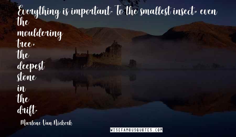 Marlene Van Niekerk Quotes: Everything is important. To the smallest insect, even the mouldering tree, the deepest stone in the drift.