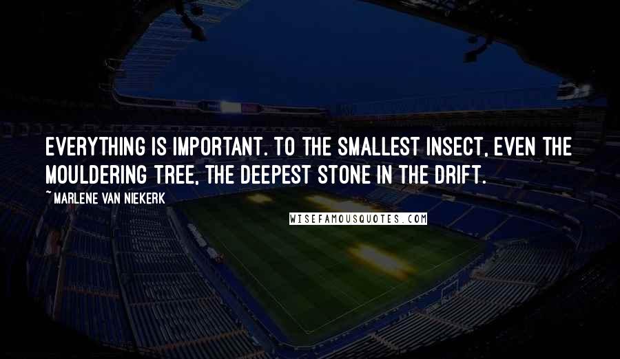 Marlene Van Niekerk Quotes: Everything is important. To the smallest insect, even the mouldering tree, the deepest stone in the drift.