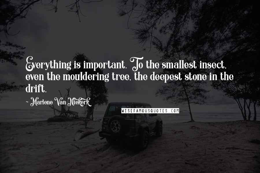 Marlene Van Niekerk Quotes: Everything is important. To the smallest insect, even the mouldering tree, the deepest stone in the drift.