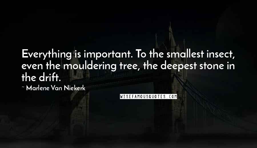 Marlene Van Niekerk Quotes: Everything is important. To the smallest insect, even the mouldering tree, the deepest stone in the drift.